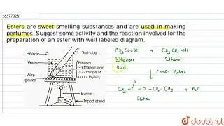 Esters are sweet-smelling substances and are used in
