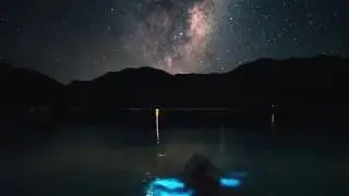 Kayaking through Bioluminescence in the Marlborough Sounds