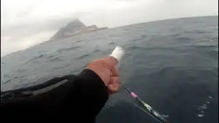 46.  1ª parte currican en el estrecho de Gibraltar buscando Bacoretas.