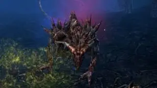 Grim Dawn Quest Location - Wrath Of The Beast - Craig's Crags - Kalis Ka, The Bonehunter