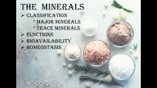 The Minerals