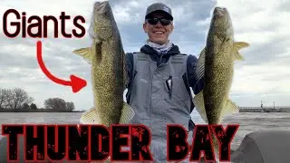 Thunder Bay Walleye BEAT-DOWN