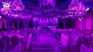MOWL Moving Head Beam Light Show for Weddings, DJs, Events, etc