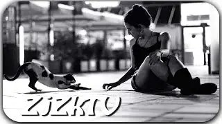 Приколы с животными №99. Fun with animals #99