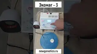 Как слушать аудио-программы по технологии Тертышного-Гаряева-Райфа  #генетикабудущего  #топ