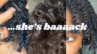 ✨Starting my locs AGAIN w/ two strand twists | 3C/4A | thequalityname✨