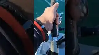Drifting live bait and this happened. Would have been a  big kingfish!