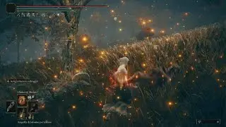 ELDEN RING Shadow of the erdtree | Rugalea, Great Red Bear | No Damage (NG+7)