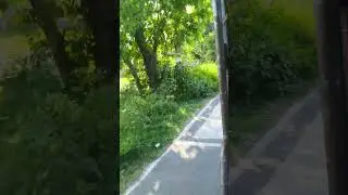 Chakulia#video #short #viral
