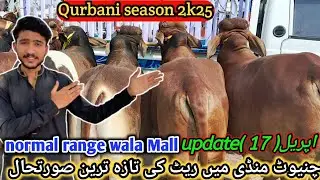 Chiniot Bakra Mandi new update || buddh Mandi Chiniot || Apr 17, 2025