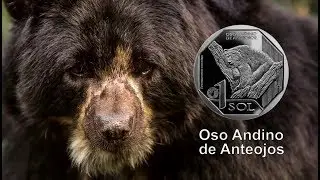 Moneda alusiva al 