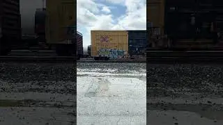 We Ride by Train Shorts.