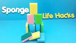 9 Clever Sponge Hacks You Must Try Out For Yourself