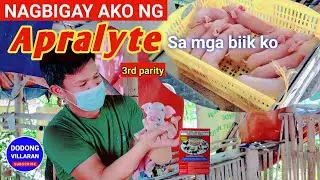 NAGBIGAY AKO APRALYTE SA MGA BIIK KO / Dodong Villaran / 3rd parity