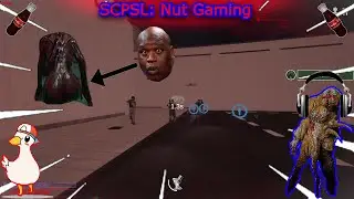 SCPSL: Nut Gaming
