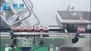 Nuts PET Jar Filling Machine Cashew Granule Bottle Filling
