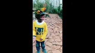RYAN'S PARROT ISLAND ADVENTURES