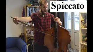 How I play the double bass: the spiccato