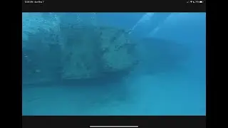 Scuba Diving the Ebenezer II wreck in Fort Lauderdale 🤿- tons of life! -LOOK INSIDE!