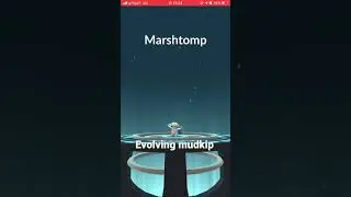 Evolving mudkip |pokemon go|