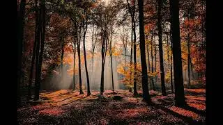 Falam hla thar love song (Na Zuun)