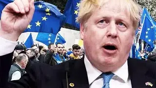 'Delusional agenda of Remainiacs' savaged in fury over faulty 'unreliable aIIy' claim