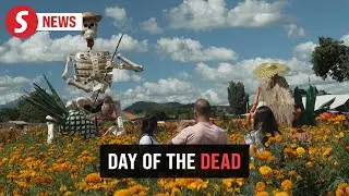 Mexico honours traditional trades with giant skeleton exhibit ahead of Day of the Dead