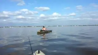 Short yak