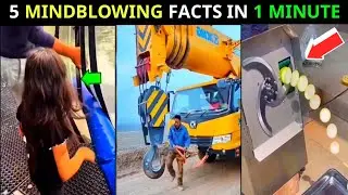 5 mind-blowing facts in 1 minute| 5 facts videos