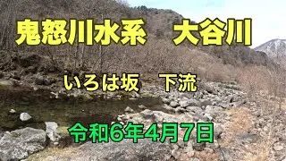 【水源は中禅寺湖、華厳の滝　大谷川最上流部】    『誰でも知っている日光いろは坂　魚いるの？』