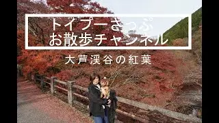 大芦渓谷の紅葉