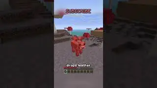 The Best Animal In Minecraft
