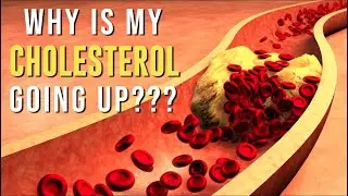 WHY CHOLESTEROL CAN GO UP ON THE KETO DIET?