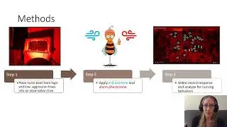 Social Signals and Hive-Level Aggression Interact To Alter Caretaking... [Westwick, Rebecca R.]