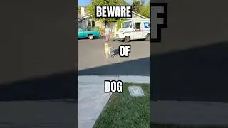 Самая очаровательная &laquo;атака&raquo; почтальонши всех времен
