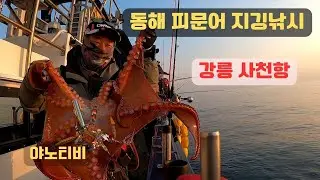 동해안 피문어 지깅낚시 강릉 사천항
