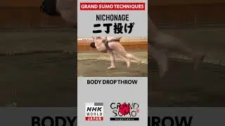 #Sumo Technique: NICHONAGE