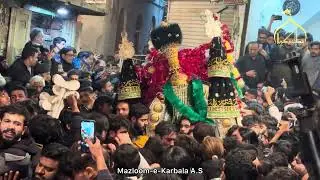 25 Rajab 2025 | Markazi Taboot Imam Musa Kazim AS | Mochi Gate Lahore | Sungat Katra Wali Shah