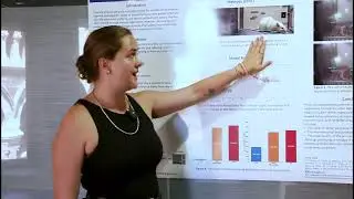 Charlotte Capo | Investigating AI-Generated Video to Help Annotation Quality in Low Data Scenarios