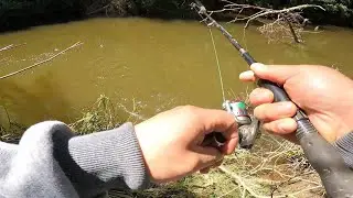 TERRIBLE!! JORNADA DE PESCA O BUENA? TRUCHAS 2024 Sur De CHILE PITRUFQUEN