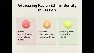 Multicultural Counseling - Lesson 2   Cultural Identity Development