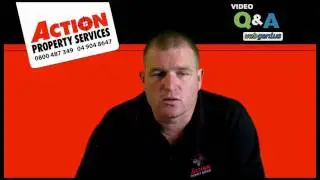 Moss killer Wellington Kapiti Coast - Roof moss & lichen removal