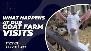 What Happens on our GOAT FARM VISITS in France