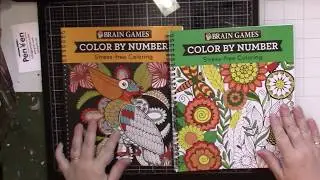 Flip: Two Brain Games Color by Number Coloring Books