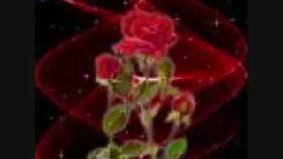 the rose (Andrea Farina)