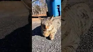 Sunbathing
