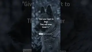 dogs love ❤🐕 motivational quotes | inspirational quotes #shorts #dog #short