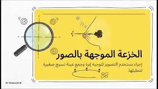 Radiological examination 8 | فحوصات شعاعية 8