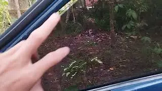 Tips Menjaga Agar Gas Tidak Cepat Membeku Ala Z Auto Farm