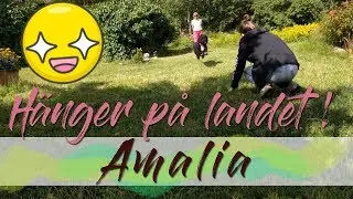 Lantlivet | St&auml;dar ladug&aring;rden med 